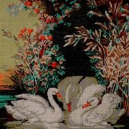 The idyll of the swans