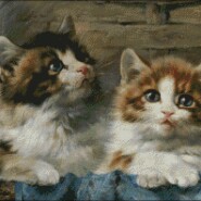 Two cats – intermediate – free patterns, free charts / diagrame gratuite, scheme goblen gratis, modele goblenuri gratis
